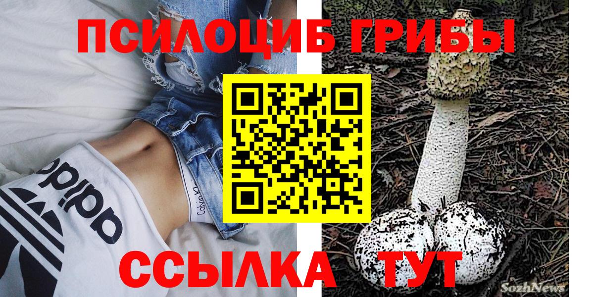 Артём  Псилоцибиновые грибы Psilocybine cubensis  Вход с VPN 